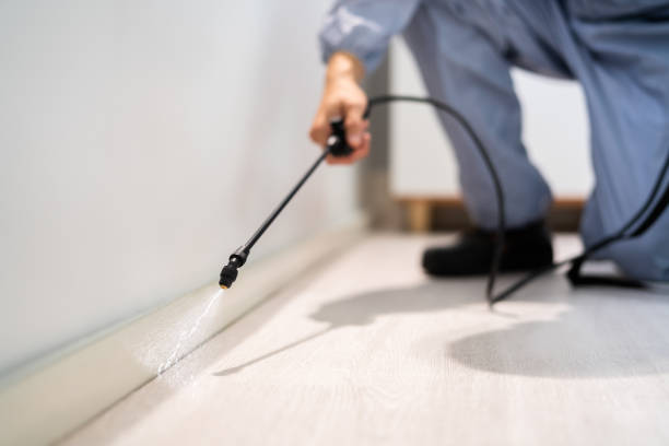 Licensed Mosquito Control service in Bassett, VA - Show Me Pest Control