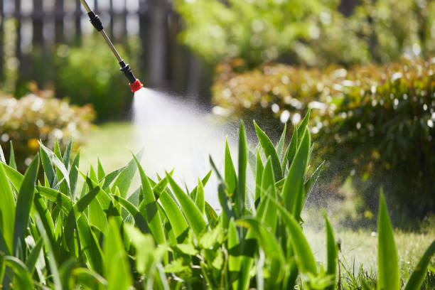 24/7 Emergency Mosquito Control experts in Bassett, VA