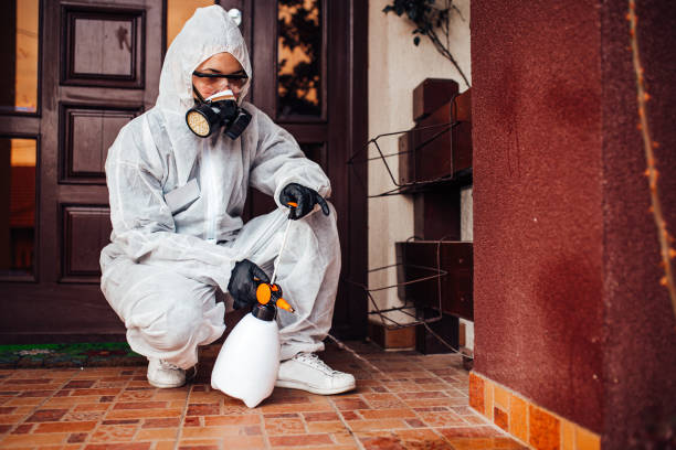 Reliable Mosquito Control contractor in Bassett, VA by Show Me Pest Control