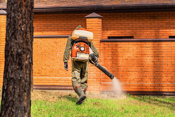 Top rated local Mosquito Control specialists in Bassett, VA